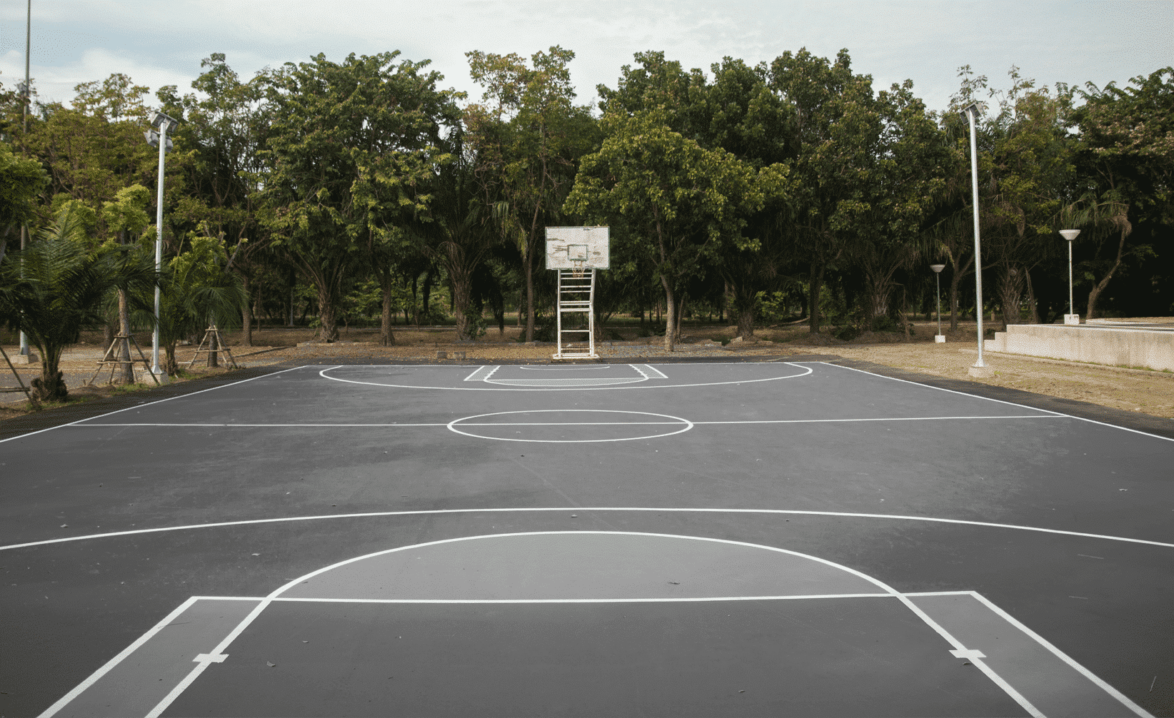 Simulateur de couleurs terrain Basquetebol